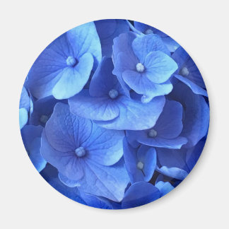 Dark Blue Hydrangeas Magneet