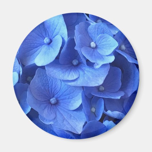 Dark Blue Hydrangeas Magneet (Voorkant)