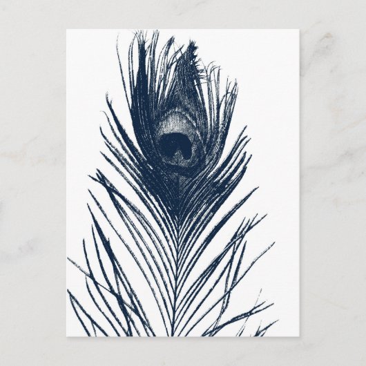 Dark Blue Peacock-Briefkaart Briefkaart (Voorkant)