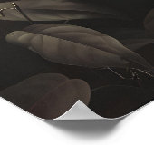 Dark Botanical Snake Art Print Floral Reptile (Hoek)