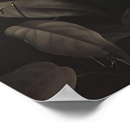 Dark Botanical Snake Art Print Floral Reptile (Hoek)