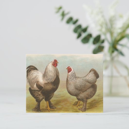 Dark Brahmas Briefkaart (Staand voorkant)