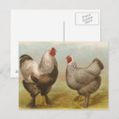 Dark Brahmas Briefkaart (Voorkant / Achterkant)