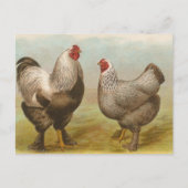 Dark Brahmas Briefkaart (Voorkant)