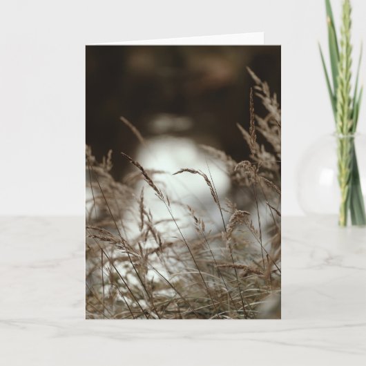Dark brown and moody grass in wind, Sympathy Kaart (Voorkant)
