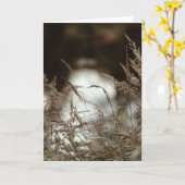 Dark brown and moody grass in wind, Sympathy Kaart (Gele Bloem)