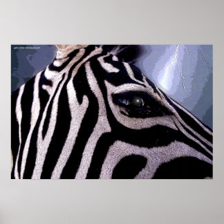 Dark Continent van Gregory Gallo Poster