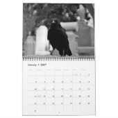 Dark Crows Kalender 2024 (Jan 2027)