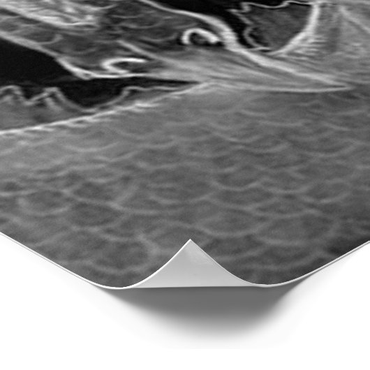 Dark Dragon Poster (Hoek)