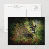 Dark Forest Fey Briefkaart (Voorkant / Achterkant)