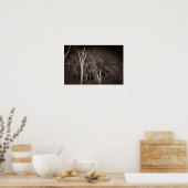 Dark Forest – Haunting Black and White Tree Art Poster (Keuken)