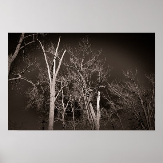 Dark Forest – Haunting Black and White Tree Art Poster (Voorkant)
