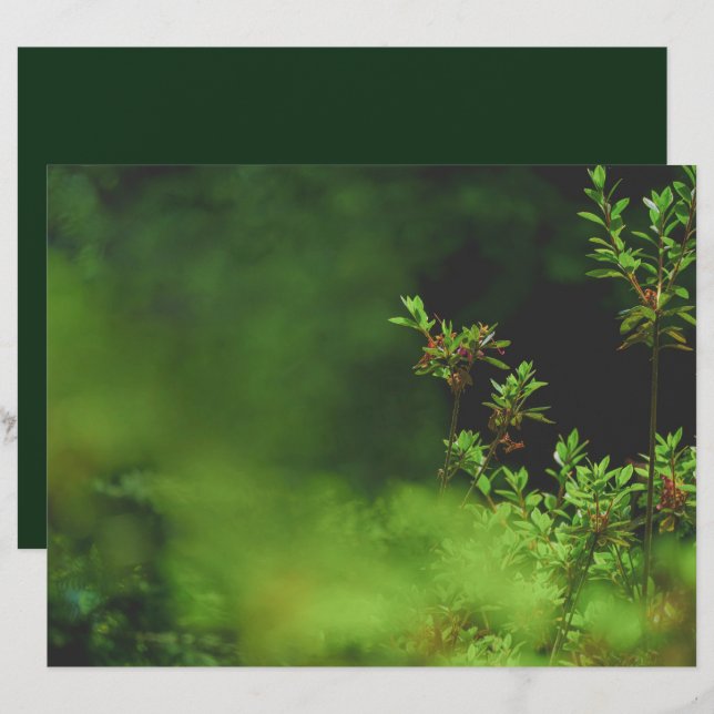 Dark green forest Scrapbook Paper (Voorkant / Achterkant)