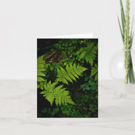Dark green moody nature theme with ferns kaart