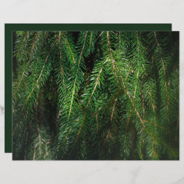 Dark green spruce tree, winter Scrapbook Paper