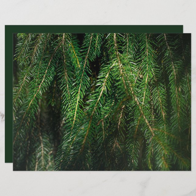 Dark green spruce tree, winter Scrapbook Paper (Voorkant / Achterkant)