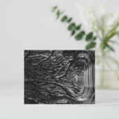 Dark Hedges Ierland Briefkaart (Staand voorkant)