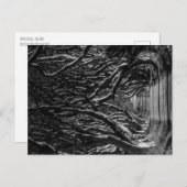Dark Hedges Ierland Briefkaart (Voorkant / Achterkant)
