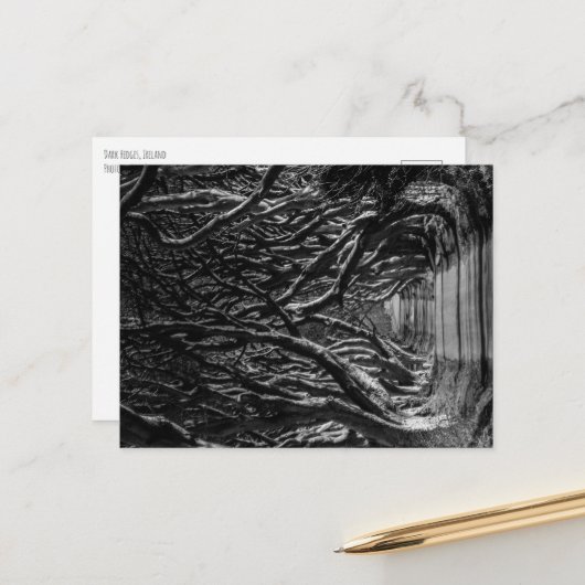 Dark Hedges Ierland Briefkaart (Voorkant / Achterkant in situ)