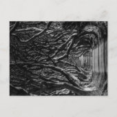 Dark Hedges Ierland Briefkaart (Voorkant)