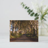 Dark Hedges Ierland Briefkaart (Staand voorkant)