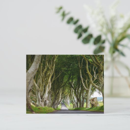 Dark Hedges in Irland Briefkaart (Staand voorkant)