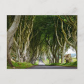 Dark Hedges in Irland Briefkaart (Voorkant)