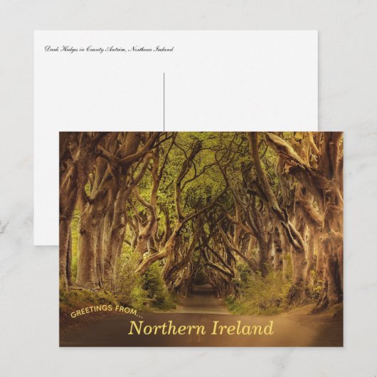 Dark Hedges Noord-Ierland Briefkaart (Voorkant / Achterkant)