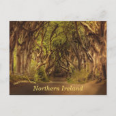 Dark Hedges Noord-Ierland Briefkaart (Voorkant)