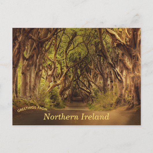 Dark Hedges Noord-Ierland Briefkaart (Voorkant)