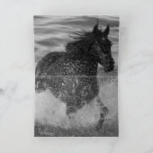 Dark Horse Loopt In Het Water Wenskaart Kaart (Binnen)