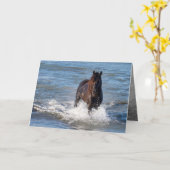 Dark Horse Loopt In Het Water Wenskaart Kaart (Gele Bloem)