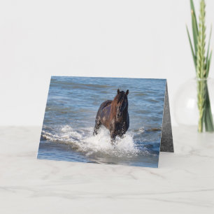 Dark Horse Loopt In Het Water Wenskaart Kaart