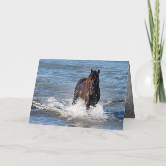 Dark Horse Loopt In Het Water Wenskaart Kaart (Voorkant)