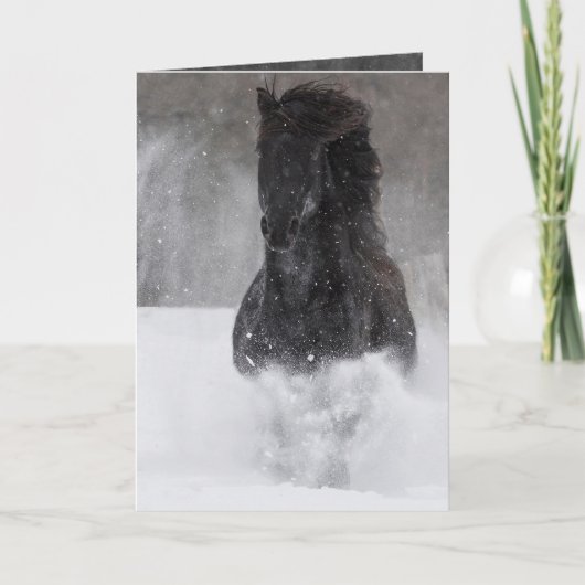 Dark Horse Runs in het Snow II Horse Wenskaart Kaart (Voorkant)