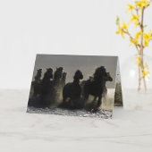 Dark Horses III Horse Wenskaart Kaart (Gele Bloem)