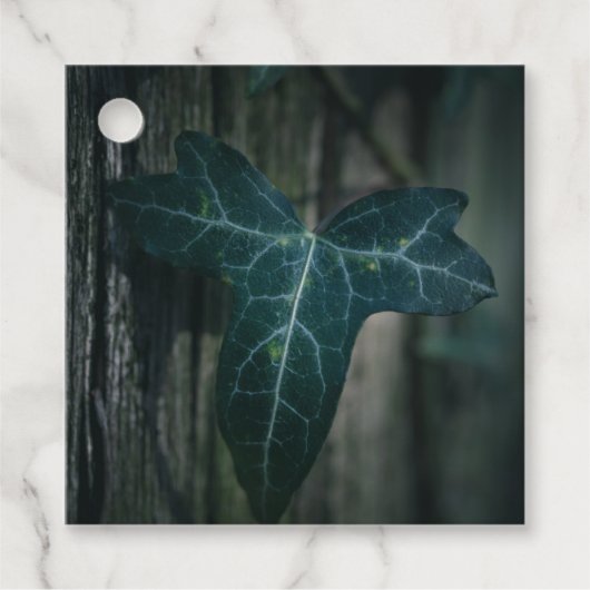 Dark Ivy Leaf Natuur Foto Bedankjes Labels (Voorkant)