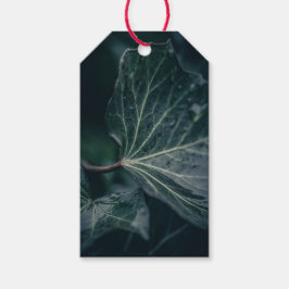 Dark Ivy Leaf Natuur Foto Cadeaulabel