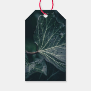 Dark Ivy Leaf Natuur Foto Cadeaulabel