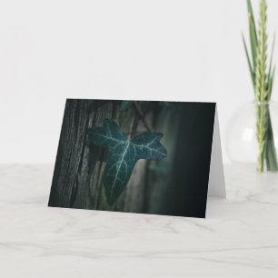 Dark Ivy Leaf Natuur Foto Kaart