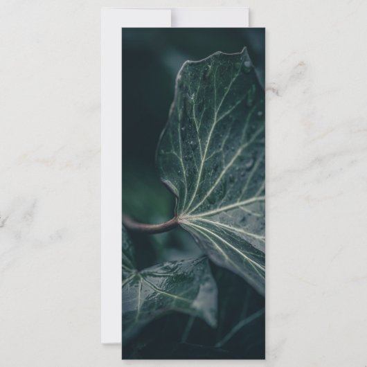 Dark Ivy Leaf Natuur Foto Kaart (Voorkant)