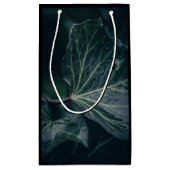 Dark Ivy Leaf Natuur Foto Klein Cadeauzakje (Achterkant)