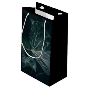 Dark Ivy Leaf Natuur Foto Klein Cadeauzakje