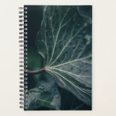 Dark Ivy Leaf Natuur Foto Planner (Voorkant)