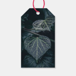 Dark Ivy Natuur Foto Cadeaulabel