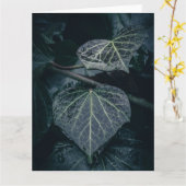 Dark Ivy Natuur Foto Kaart (Gele Bloem)