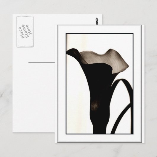 Dark Lily Briefkaart (Voorkant / Achterkant)