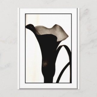 Dark Lily Briefkaart