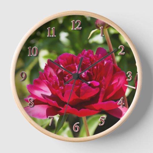 Dark Maroon velvet peonies (Voorkant)