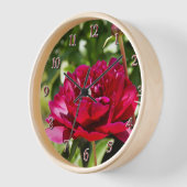 Dark Maroon velvet peonies (Hoek)